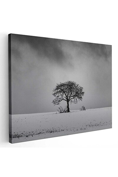 Tablou Canvas Tablou peisaj copac singuratic iarna, cod 2736