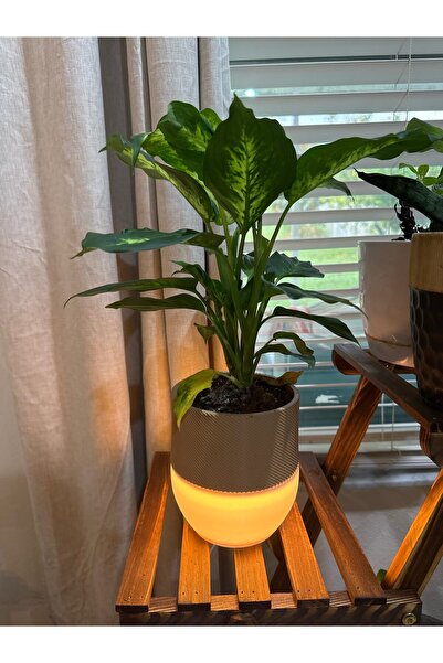 Devotech LED Işıklı Saksı – Masaüstü ve Dekoratif Aydınlatma