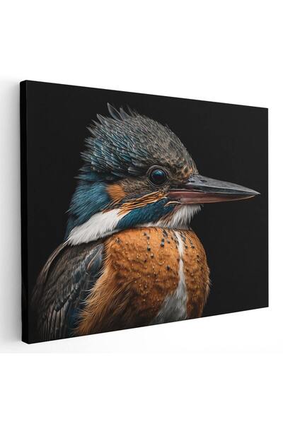 Tablou Canvas Tablou pasare detaliu fundal negru, cod 1456