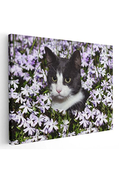 Tablou Canvas Tablou pisica negru cu alb printre flori, cod 3064