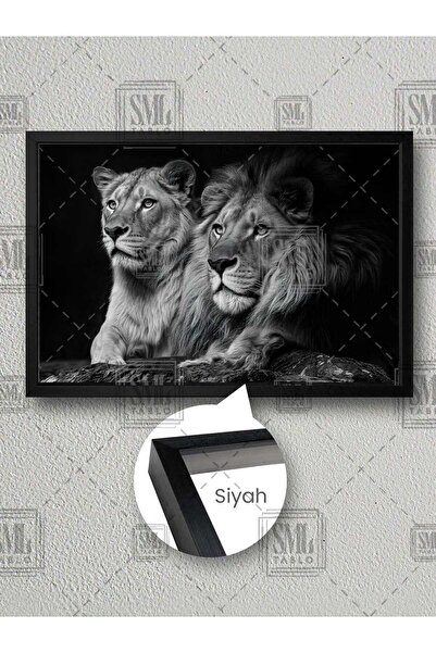 SML TABLO Aslan ve Kaplan Çifti Siyah Beyaz Oturan Çerçeveli Yatay Kanvas Tablo