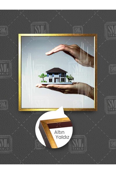 SML TABLO Asigurări pentru cutremururi Companie de asigurări Inspeție a clădi...