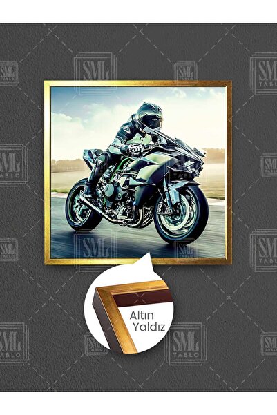 SML TABLO Kawasaki Ninja Zeleni Motocikl Brzina Strast Biker Uramljena Kvadra...