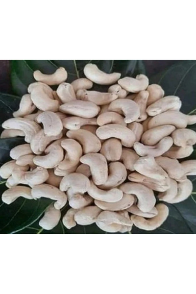 Natural جوز الكاجو الخام 150 جرام (حجم كبير، درجة W240) × 24