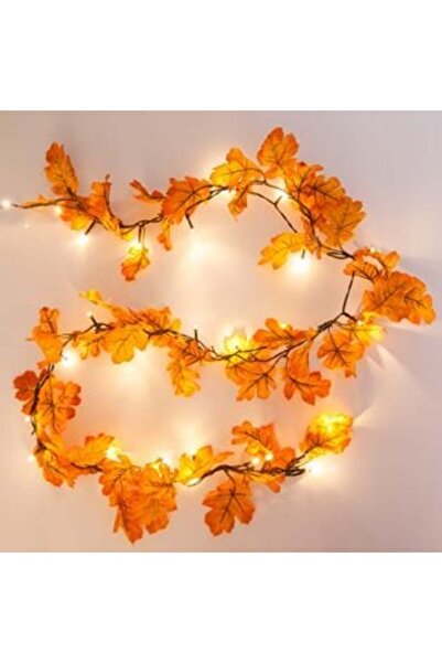 SHOPIENS Φθινοπωρινή Διακοσμητική Γιρλάντα Πορτοκαλί με 30 Φωτάκια LED - 2 μ.