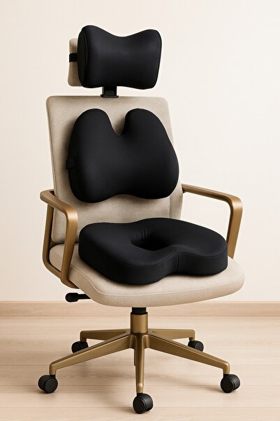 PİLLOWART Ergonomic Office Chair Cushion Set |   Waist, Neck and Lumbar Support Set of 3
