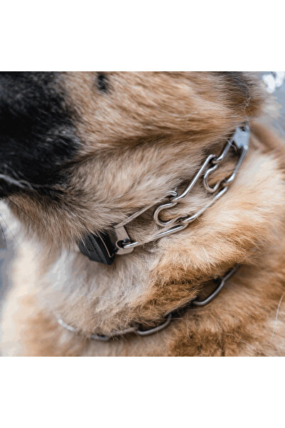 Sprenger Zgarda Dresaj Inox 3.2mm/60cm Cliclock