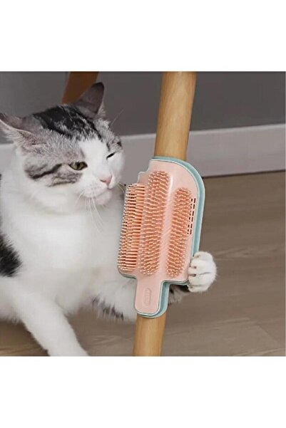 Kiesa فرشاة حك للقطط مع حاوية عشبة النعناع، أداة تدليك للقطط، جهاز لجمع الشعر