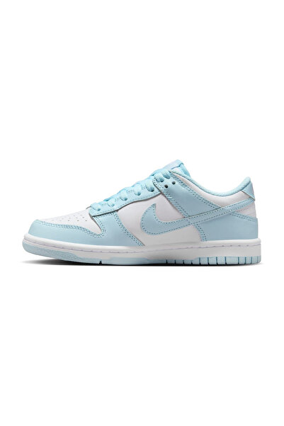 Nike Dunk Low BG sport shoes - FB9109-105
