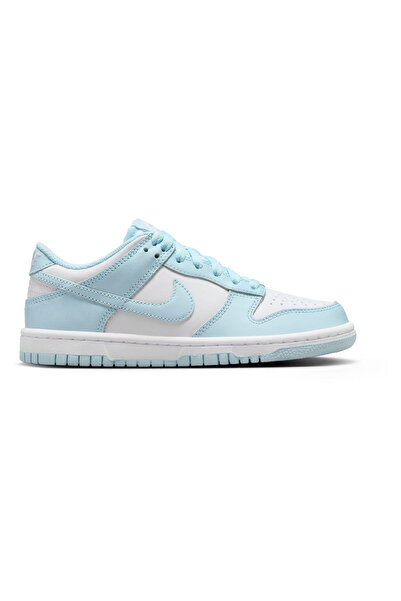 Nike Dunk Low BG sport shoes - FB9109-105