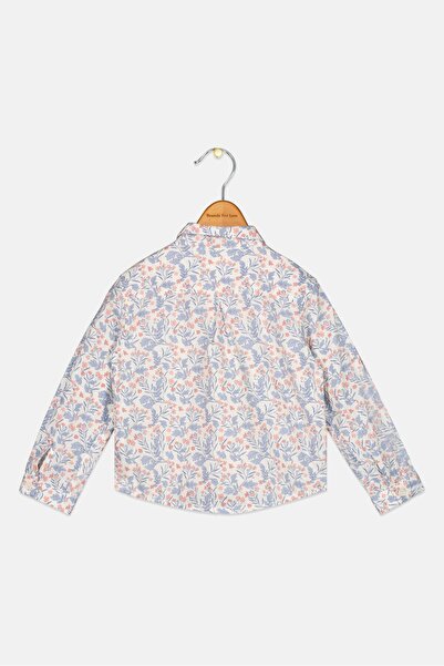 Gingersnaps Toddlers Boy Floral Print Long Sleeve Tops, Multicolor
