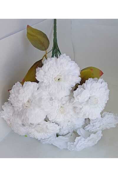 R&F ورد كرونيش