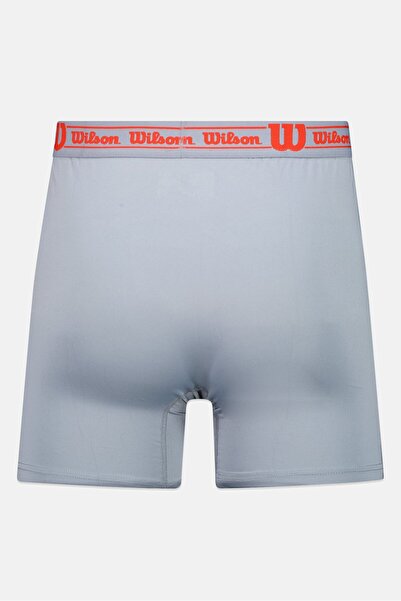 Wilson Men 3 Pieces Brand Logo Boxer Briefs, Multicolor