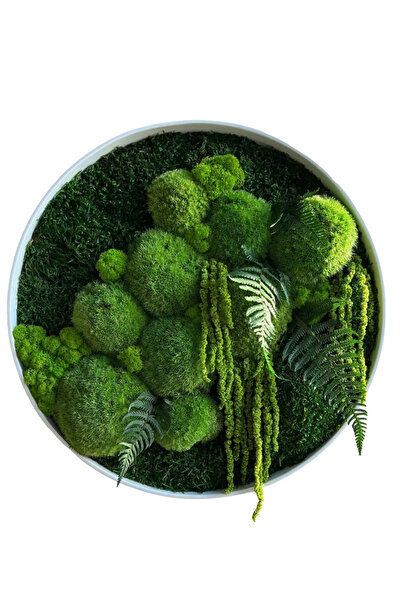 Narium Landscape lichen circle Ø 40 cm