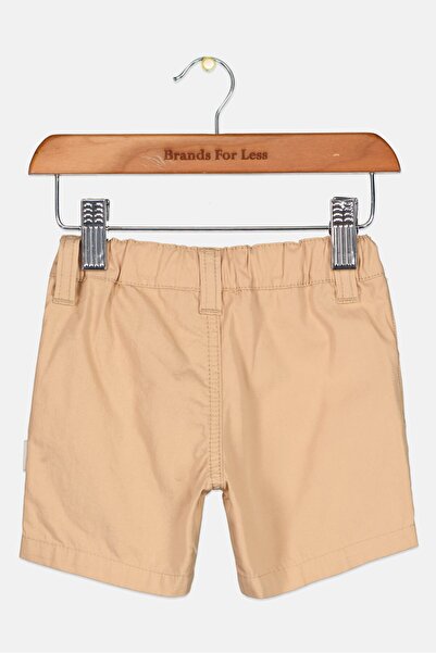 Sophie La Girafe Toddlers Boy Embroidered Chino Shorts, Beige