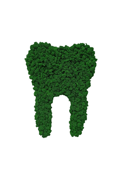 Narium Dinte din licheni