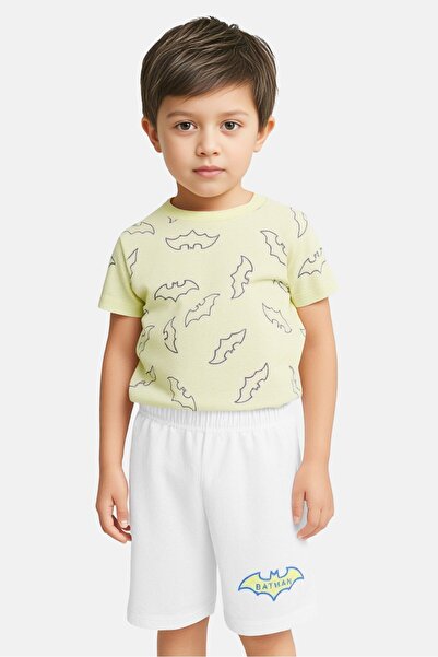 DC Kids Boy 2 Pieces Graphic T-shirt And Shorts Set, Mulitcolor