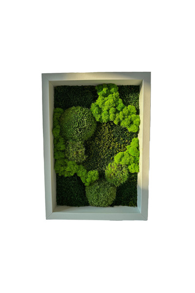 Narium Pictură cu mușchi stabilizat 30×40 cm