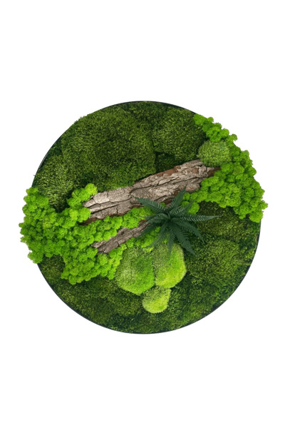 Narium Cerc cu mușchi stabilizat Peisaj Ø 50 cm