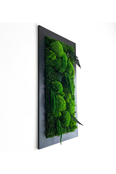 Narium Tablou cu mușchi stabilizat 60×30 cm