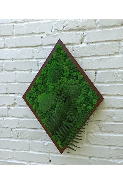 Narium Ceasca din licheni stabilizati 50×40 cm