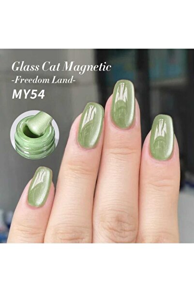 Born Pretty Freedom Land Kedi Gözü Kalıcı Oje(MY54)-10ml