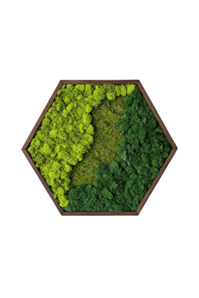 Narium Hexagon din licheni 35x35 cm