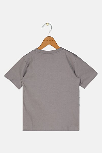 DC Toddlers Boy Crew Neck Short Sleeve Graphic Print T-shirts, Multicolor