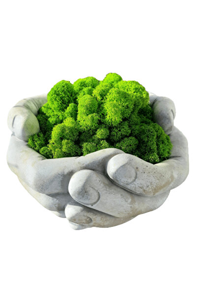 Narium Ghiveci din licheni