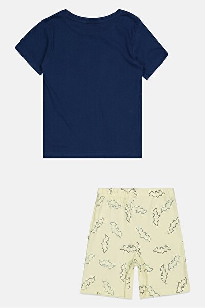 DC Kids Boy 2 Pcs Short Sleeves Batman Top And Bottom Set, Multicolor