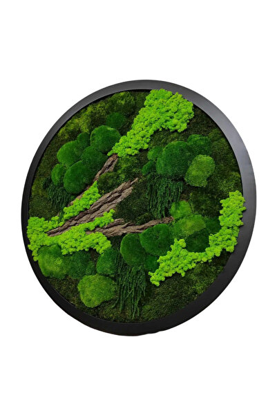 Narium Peisaj cu cerc și mușchi Ø 80 cm