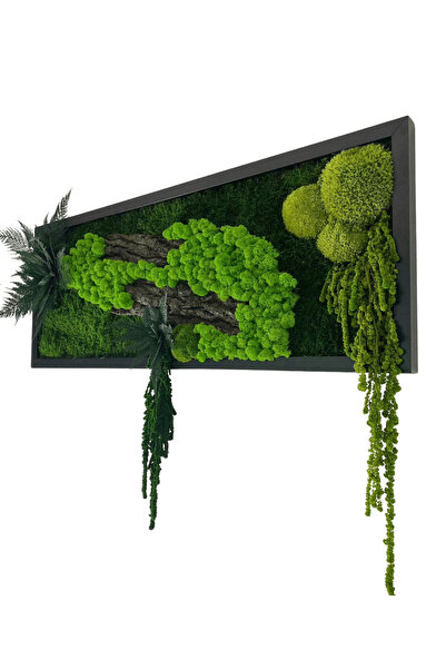 Narium Tablou cu licheni stabilizați 70x30 cm