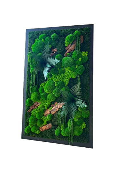 Narium Tablou cu mușchi stabilizat 130×80 cm
