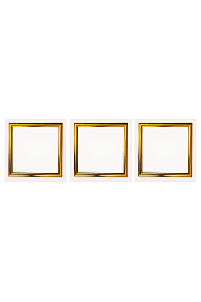 AS TİCARET Decorative Frame Set 3 Pieces 20X20 Pvc with Glass Gold