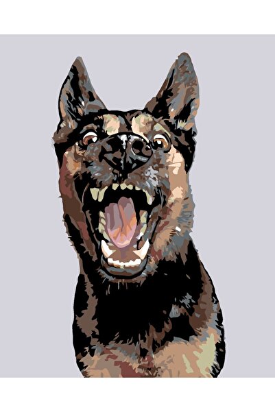 ZUTY Pictură pe numere - Ciobănesc german 80 x 100 cm.