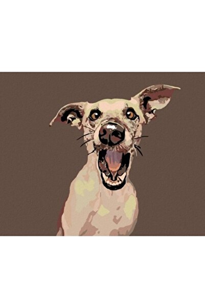 ZUTY Pictură pe numere - Câine surprins 100 x 80 cm Pânză întinsă