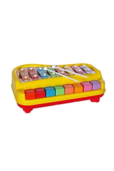 DavidaHome Instrument muzical 2 in 1, xilofon si pian muzical bebe, 45 x 40 cm