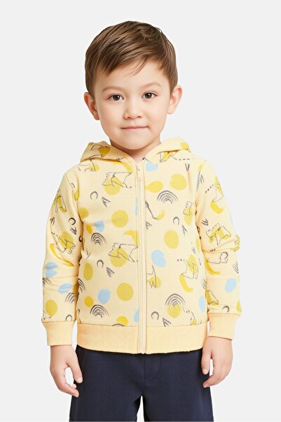 Sinsay Fox and Bunny By Toddlers Boy Allover Print Long Sleeves Hoodie, Multi...