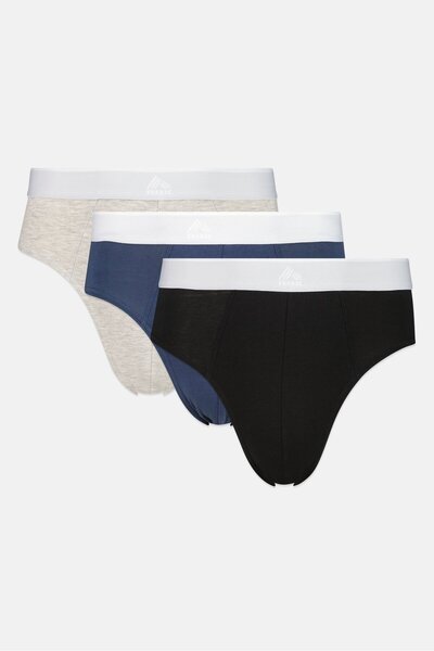 RBX Men 3 Pack Brand Logo Briefs, Multicolor