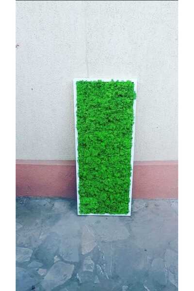 Narium Tablou cu licheni 70×30 cm