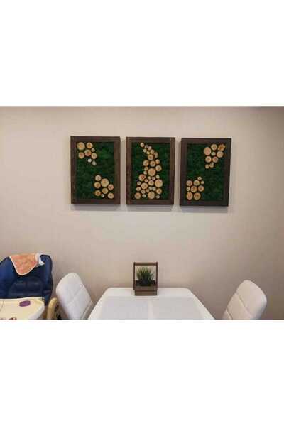 Narium Tablouri cu licheni 40×30 cm SET