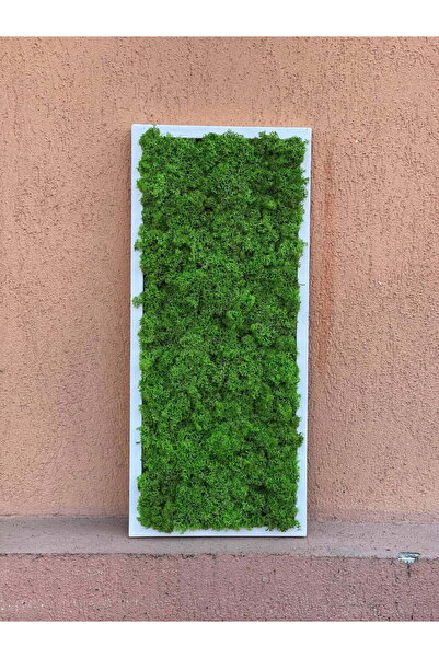 Narium Tablou cu licheni 70×30 cm