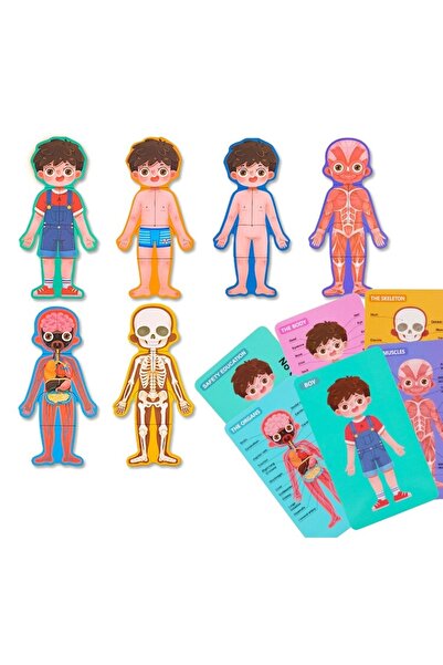 OEM Educational Game, Human Body Puzzle Montessori, Wooden, Multicolor