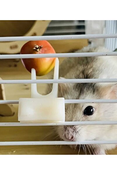 ÇEÇEN HOME 2 قطعة شوكة طعام للطيور الأليفة على شكل قفص، شوكة طعام للطيور