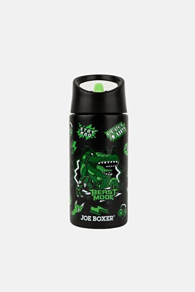 Joe Boxer Kids Graphic Print Stainless Steel Water Bottle 300ml, Multicolor