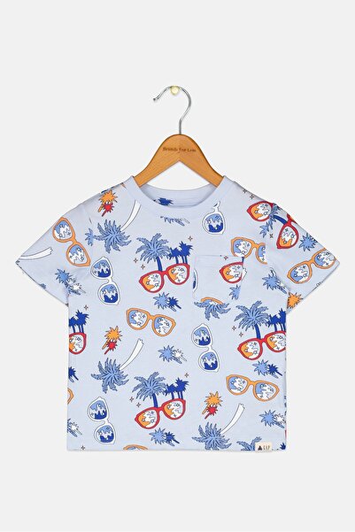 GAP Toddlers Boy Crew Neck Short Sleeves Graphic Print T-Shirt, Multicolor