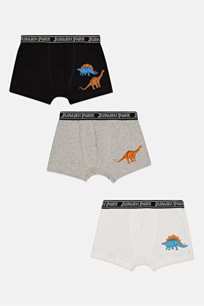 Jurassic Park Kids Boy 3 Pieces Graphic Print Boxer, Multicolor