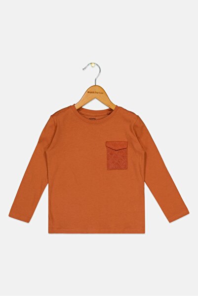 Sinsay تي شيرت سادة بأكمام طويلة وياقة دائرية للأولاد الصغار، بني