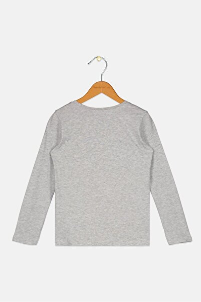 Sinsay Kids Girl Crew Neck Long Sleeve Graphic Print T-Shirt, Grey