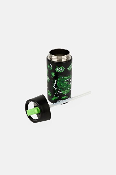 Joe Boxer Kids Graphic Print Stainless Steel Water Bottle 300ml, Multicolor